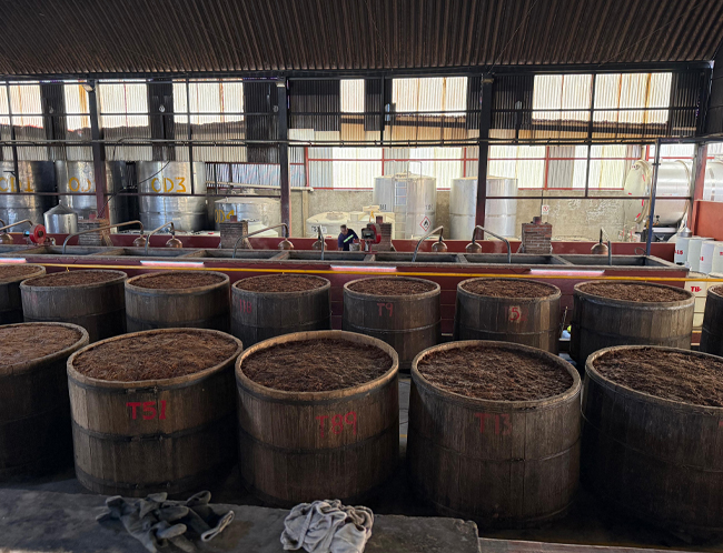 Fermentación del mezcal